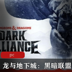 冒险游戏《龙与地下城：黑暗联盟》免安装版