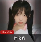 小奶猫主播玛莎的超级软萌胖次猫视频合集，50部精彩互动，尽享温柔幽默瞬间