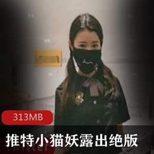 推特暗黑小猫妖绝版资源合集10V313M，神秘美腿诱人创意