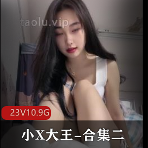 丝足羞R榨J小X大王合集二23V10.9G，长短视频无广告水印，超级无敌S